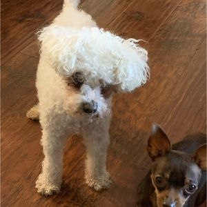 Meet your Posher, Julissa